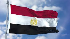 Wael Haddara and The Egyptian Presidency